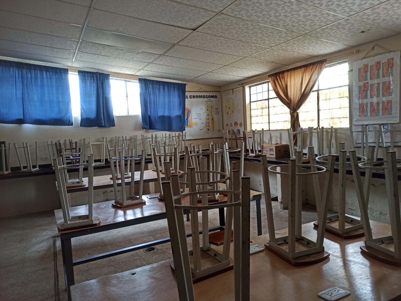 Laboratorio de Biologia