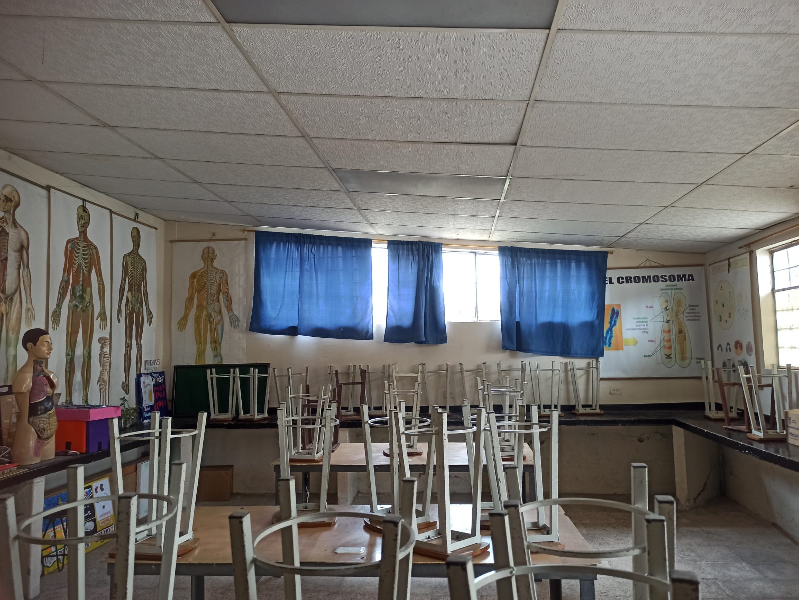 Laboratorio de Biologia