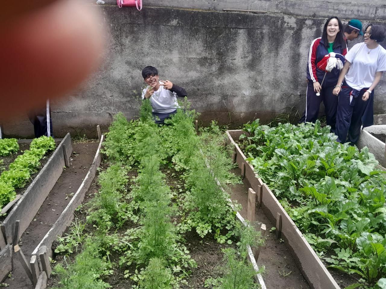 Participación Estudiantil